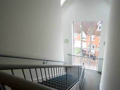 Picture 19